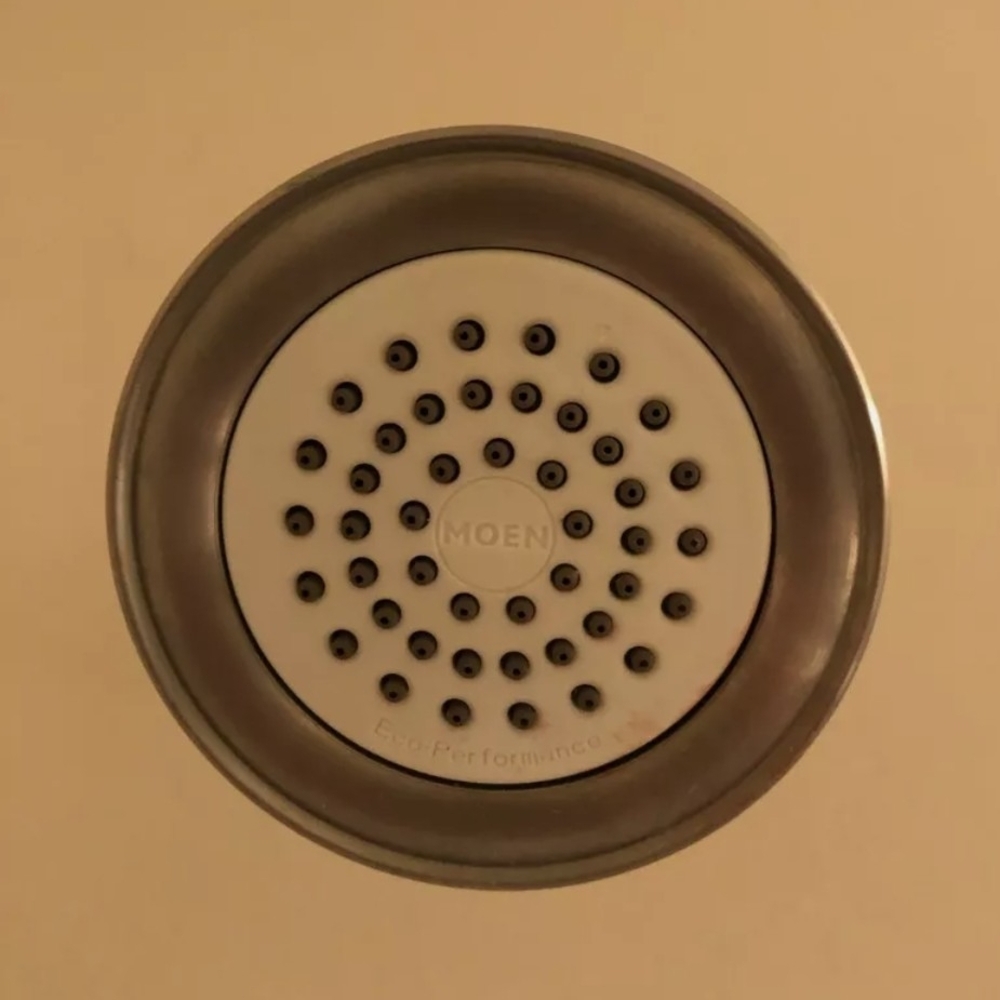 Moen Silver Showerhead with White Center
